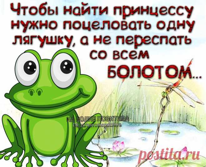 (25) Одноклассники