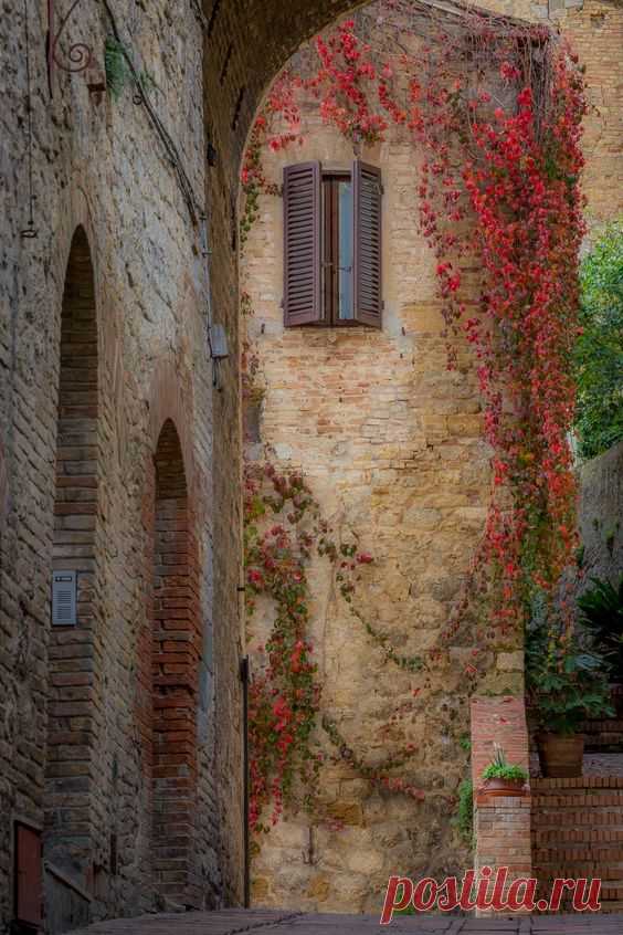 Sumit Dua Captured a photo of a window in Italy