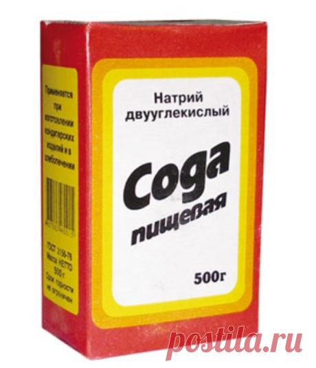 Самые простые способы избавления от муравьёв