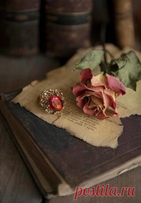 Правда странно, что, если книжку прочитать несколько раз, она становится намного толще? Как будто при каждом чтении что-то остается между страниц. Чувства, мысли, звуки, запахи...
И когда ты много лет спустя снова листаешь книгу, то находишь там себя самого — немного младше, немного не такого, как теперь, будто книга сохранила тебя между страниц, как засушенный цветок — вместе знакомого и чужого.

Корнелия Функе