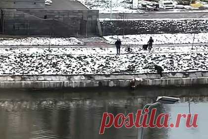 Из канала в Петербурге вытащили маленькую девочку