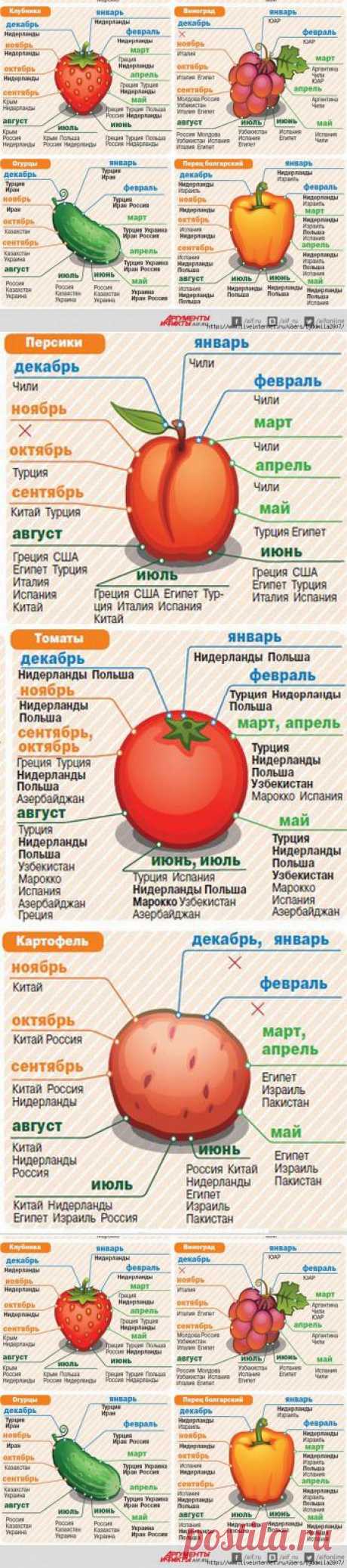 Когда созревают овощи и фрукты в разных странах? Инфографика