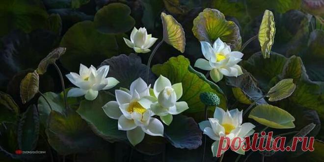 Пин на доске Coffe