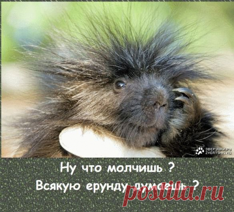 ​ЦЕЛУЮ...!​