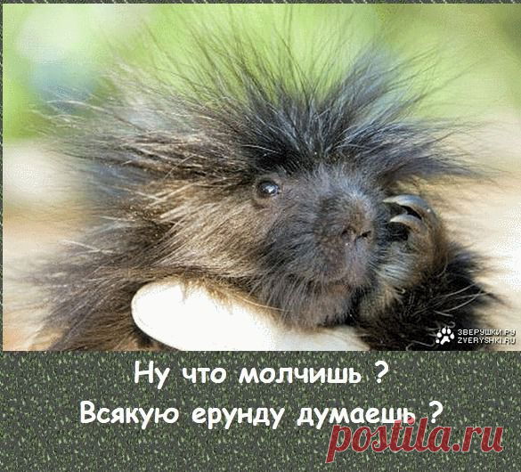 ​ЦЕЛУЮ...!​