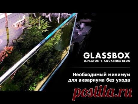 Аквариум и интерьер 7: Необходимый минимум для аквариума без ухода - YouTube