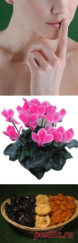 Средство от герпеса Корвалол - помогает, не поверите (home.health.rushealth) : Рассылка : Subscribe.Ru