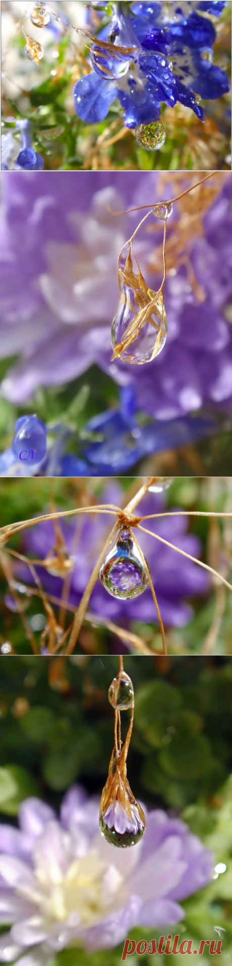 Яндекс.Фотки
