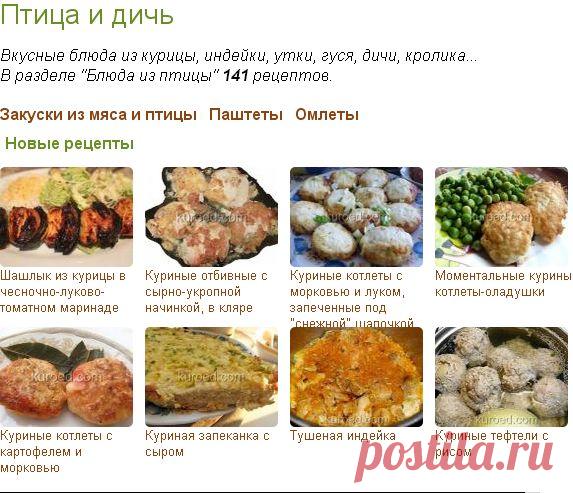 РЕЦЕПТЫ - Птица и дичь