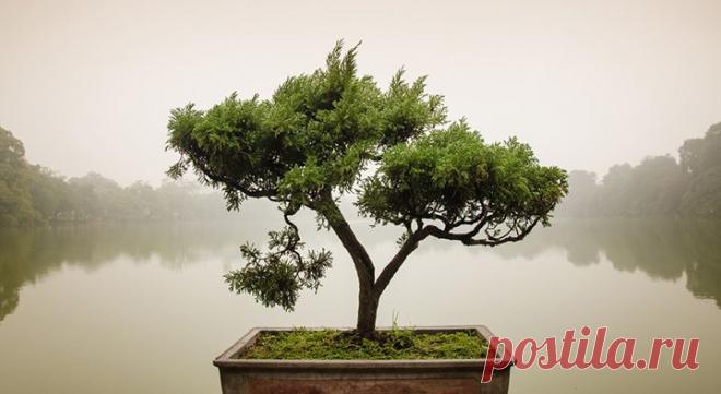 Спокойствие дзен: как его сохранить? | Антистресс | Здоровье | Psychologies
