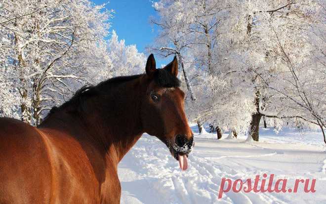 (2) Facebook