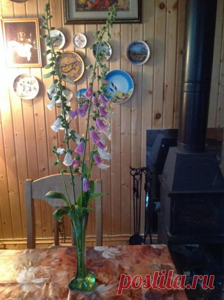 Ольга Эдель