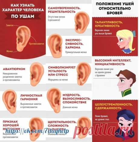 Как узнать характер человека по ушам 
Пиши в комментариях, какие результаты у тебя получились
