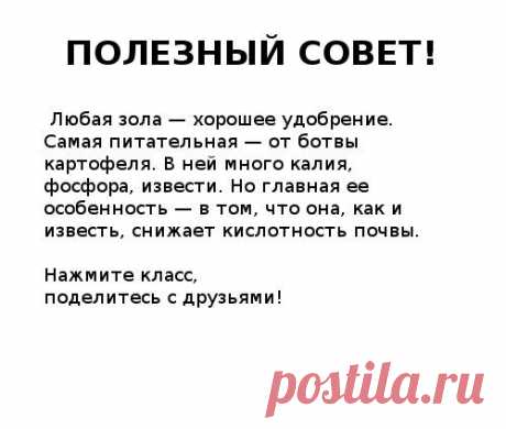 Дачник. Садовод. Огород | ВКонтакте