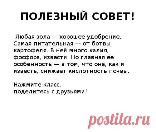 Дачник. Садовод. Огород | ВКонтакте