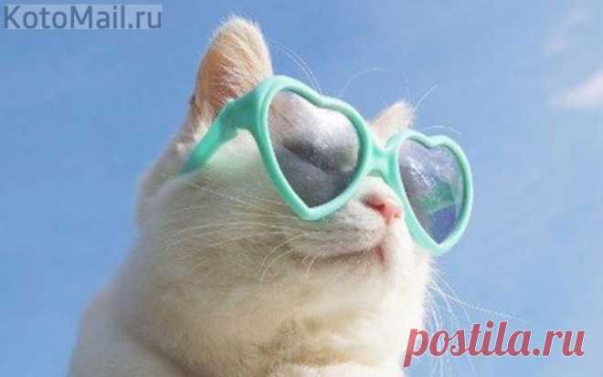 Лето, я с тобой!