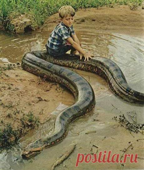 Magdalena Campos – Google+