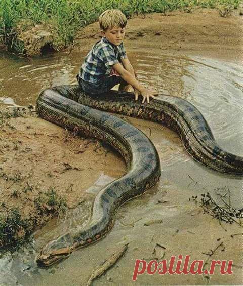 Magdalena Campos – Google+