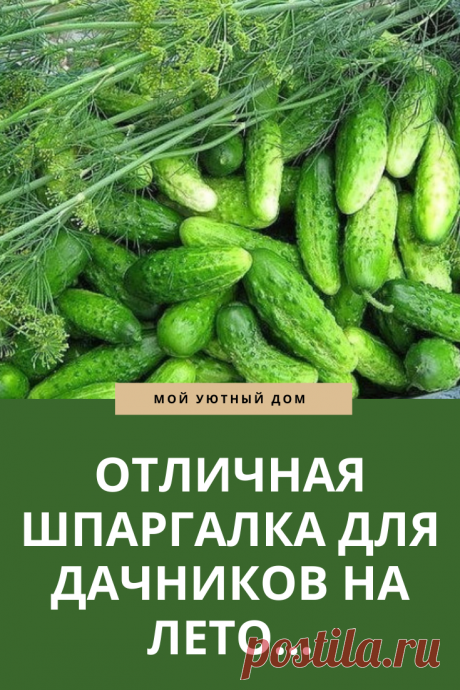 Отличная шпаргалка дачникам на лето