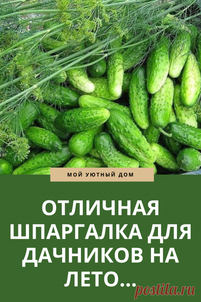 Отличная шпаргалка дачникам на лето