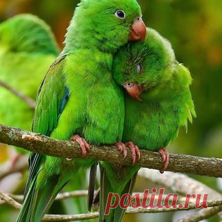 Photo shared by NATURE GEOGRAPHY on January 27, 2021 tagging @macrotake.