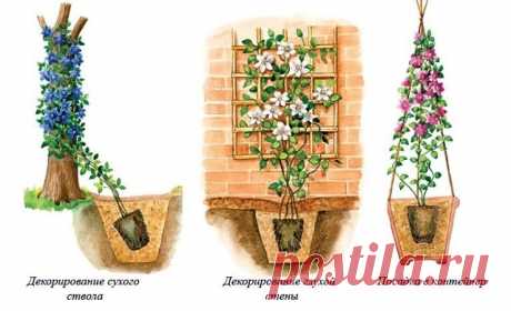 Одноклассники