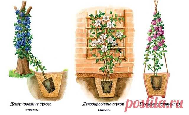 Одноклассники
