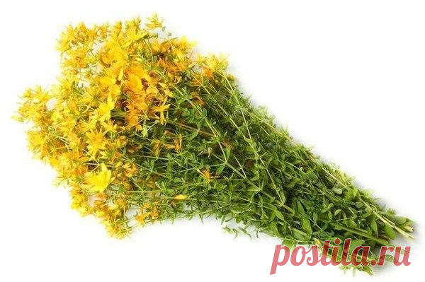Советомания - полезные советы и идеи ✔