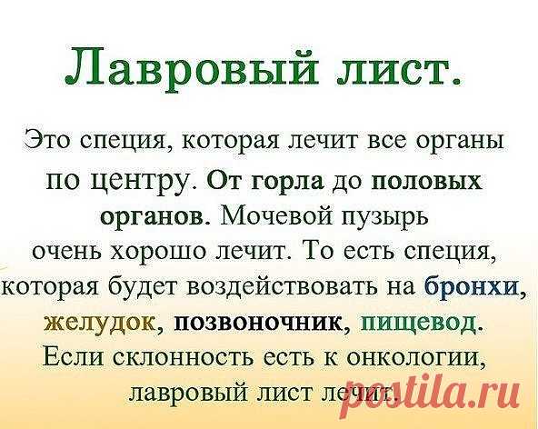 (8) Одноклассники