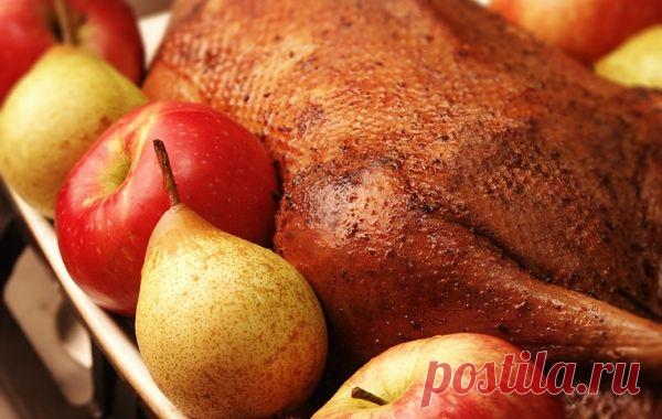 РОЖДЕСТВЕНСКИЙ ГУСЬ - ЛУЧШИЕ РЕЦЕПТЫ - Рецепты блюд на Рождество - Праздничный стол - Рецепты - Мэджик Леди - сайт для женщин