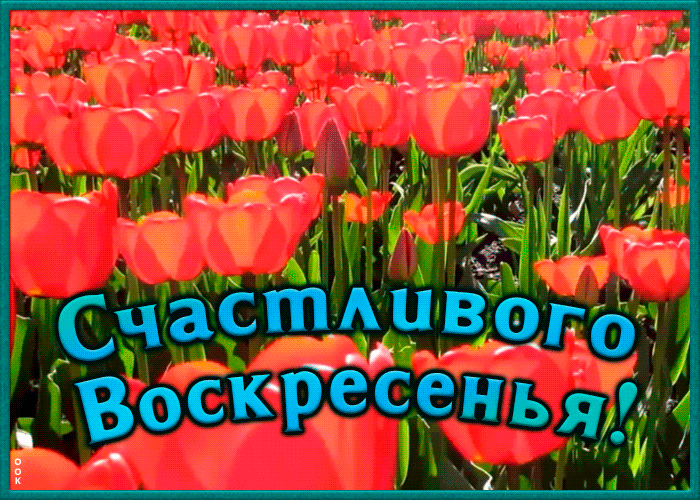 Открытка счастливого воскресенья