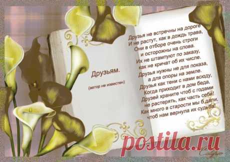 Фразы,Высказывания,Стихи,Цитаты,Видео...
Татьяна Аляпина(Аржанова)