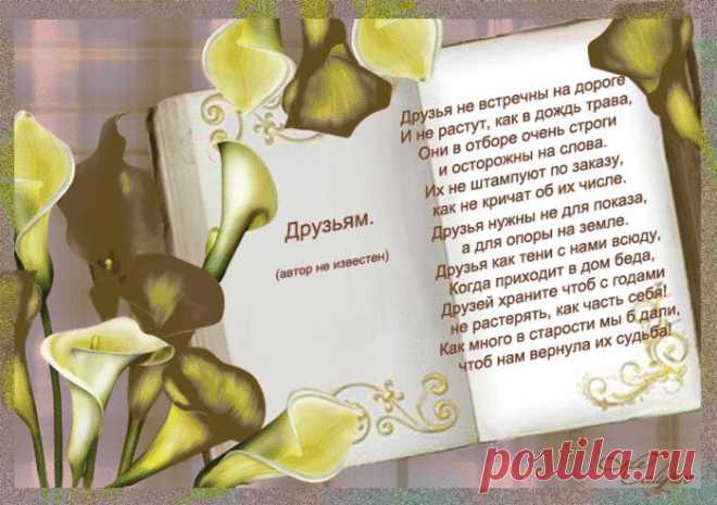 Фразы,Высказывания,Стихи,Цитаты,Видео...
Татьяна Аляпина(Аржанова)