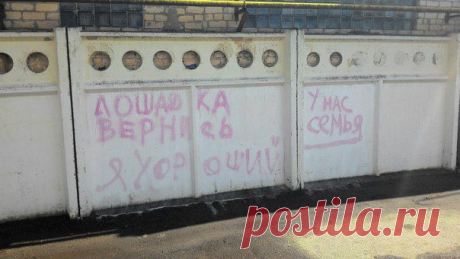 Новости