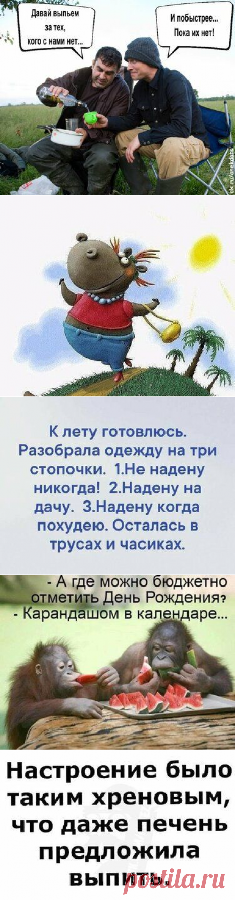 804 карточки в коллекции «ЮМОР» пользователя Людмила Б. в Яндекс.Коллекциях