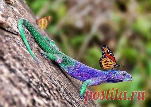 Одноклассники