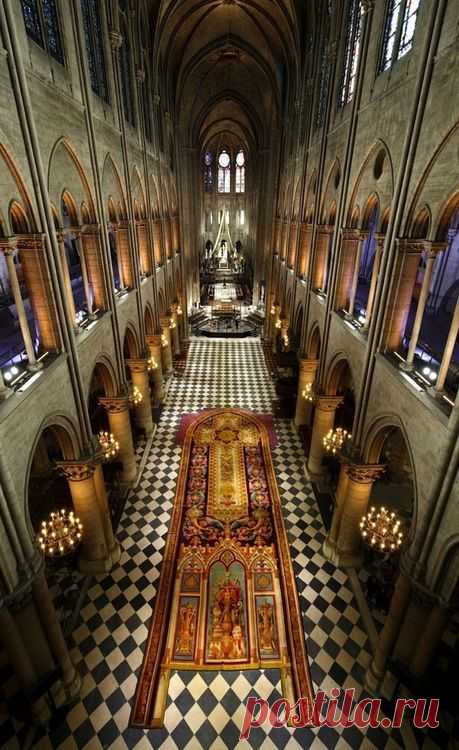 Cathédrale Notre-Dame de Paris   |  Pinterest