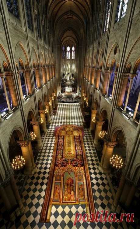 Cathédrale Notre-Dame de Paris   |  Pinterest