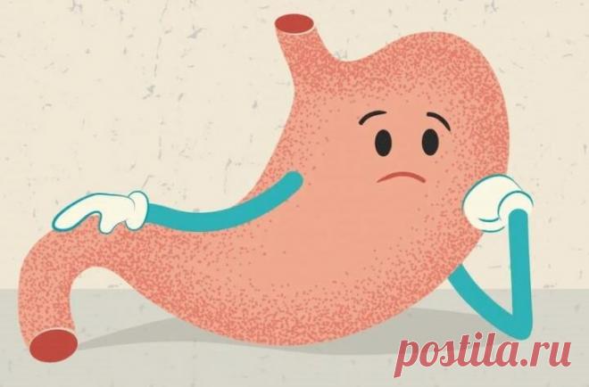 Как помочь ленивому кишечнику: 7 простых, но действенных советов | ЗОЖ и Галка | Яндекс Дзен