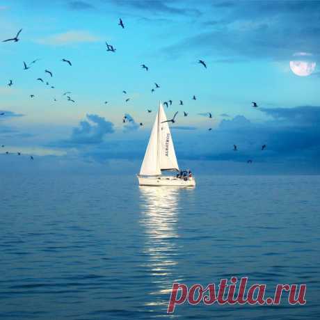 Late afternoon sailing | Boats, Ships &amp; Things that Float