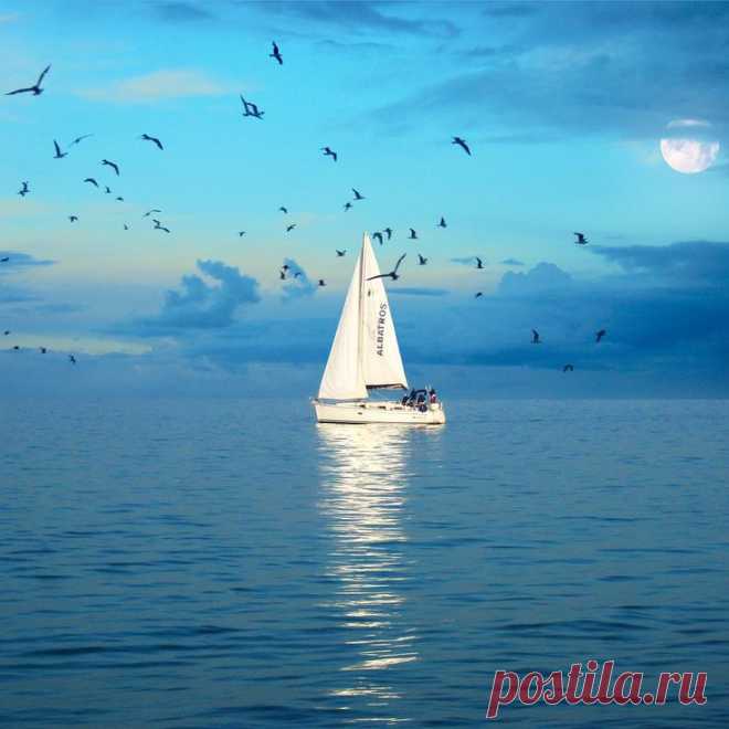 Late afternoon sailing | Boats, Ships & Things that Float