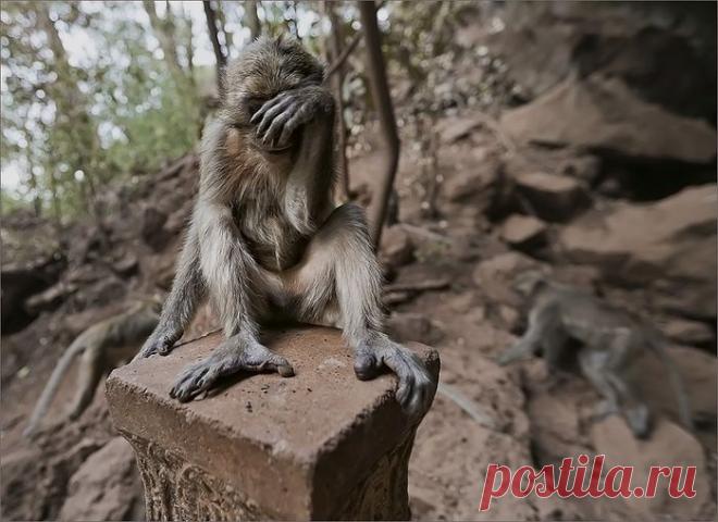 Уйди фотограф я в печали .....