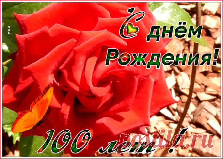 Оригинальная открытка День Рождения 100 лет станет самым прикольных поздравление онлайн, отправляйте бесплатно. Каталог красочных открыток с юбилеем, скачивайте прямо сейчас.