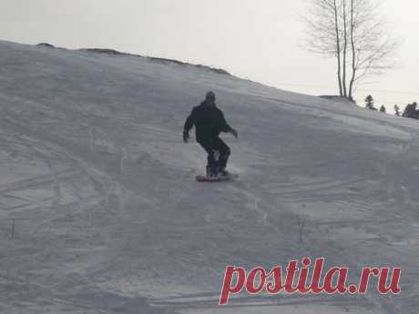 Лого-Наки ( доча )