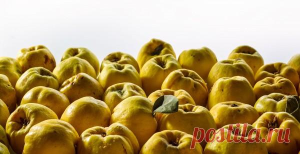 Варенье | Записи в рубрике Варенье | Дневник GayaneKostanyan