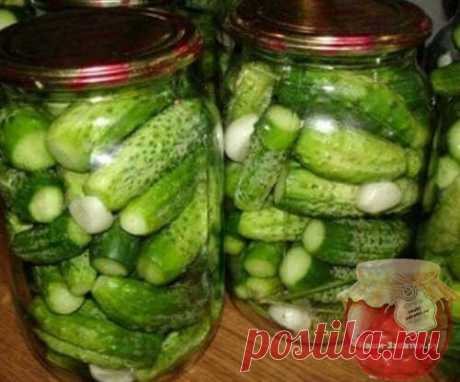 Маринованные огурцы по-болгарски на зиму: вкусные рецепты Любимые с детства маринованные огурцы по-болгарски легко сделать в домашних условиях. У меня запасено несколько замечательных рецептов, в том числе и салат кусочками и "Глобус". Есть варианты без стерилизации, очень вкусно получаются с горчицей, с лимонной кислотой, а также люблю с луком и морковью.