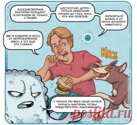 Вместо этого поставим классную картинку. Она называется «300-процентная вероятность подхватить заразу». Это когда вы едите непрожаренный бургер, мощно ковыряете в носу и вас в это же время грызет собака-улыбака.