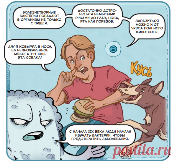 Вместо этого поставим классную картинку. Она называется «300-процентная вероятность подхватить заразу». Это когда вы едите непрожаренный бургер, мощно ковыряете в носу и вас в это же время грызет собака-улыбака.