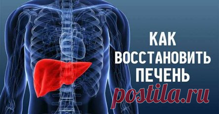 Очистить печень и восстановить все ее функции легко: всего пару глотков. Тяжесть после принятия пищи, боль в боку, слабость, одышка?