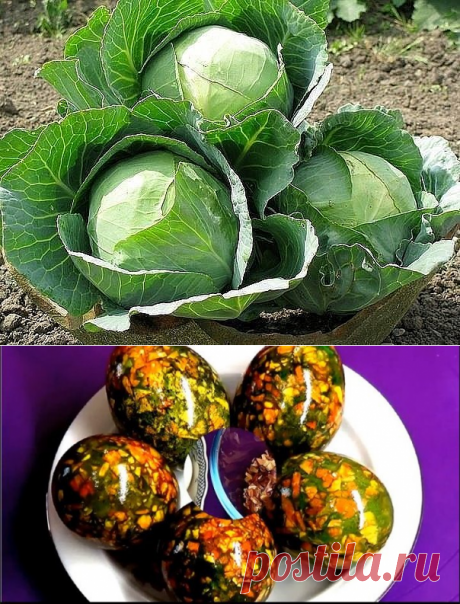 (2) Одноклассники